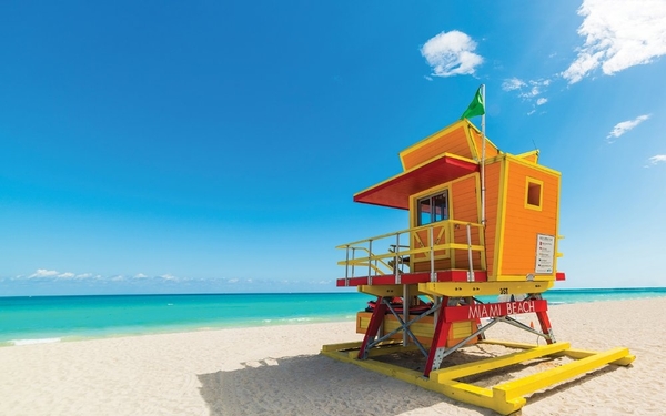 LYNN UNIVERSITY - MIAMI BOCA RATON